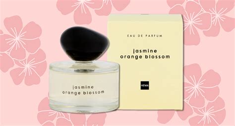 yves saint laurent dupe